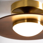Contemporary LED Ceiling Light Low Profile Flush Mount