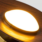 Contemporary LED Ceiling Light Low Profile Flush Mount