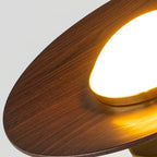 Contemporary LED Ceiling Light Low Profile Flush Mount