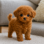 Interactive Plush Dog Toy Realistic Walking Barking Electronic Pet - Image 9