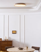Elegant Round LED Ceiling Lights for Modern Interiors