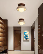 Modern Ceiling Lights for Natural Elegance