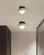 Modern Ceiling Lights for Natural Elegance
