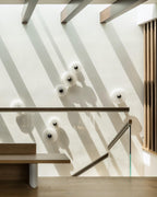 Modern Alabaster Round LED Flush Mount Wall Light