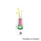 Vibrant Decorative Plant Pots Collection