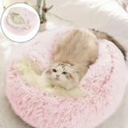 Calming Dog Beds for Restful Sleep