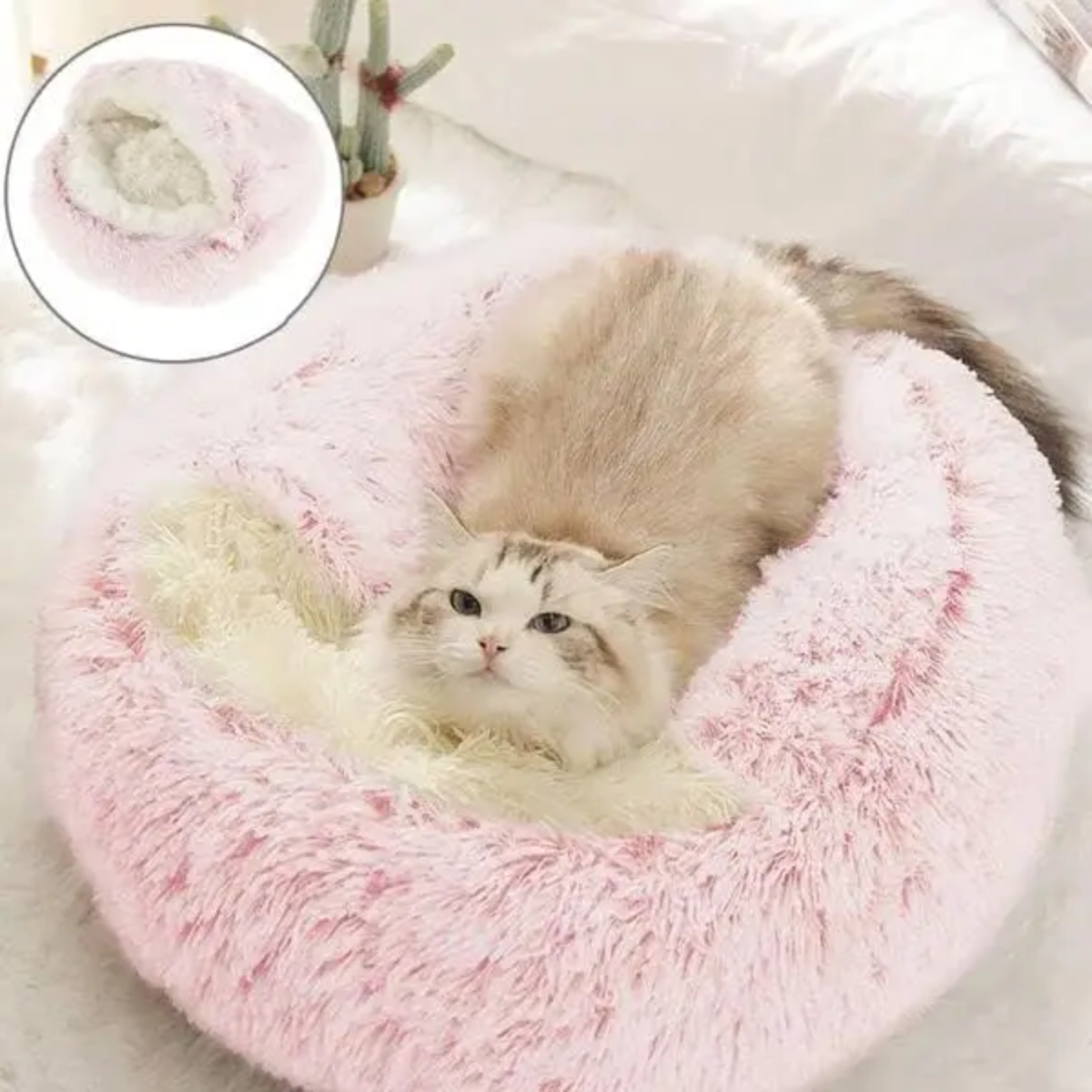 Calming Dog Beds for Restful Sleep