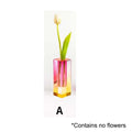 Vibrant Decorative Plant Pots Collection