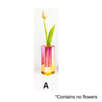 Vibrant Decorative Plant Pots Collection