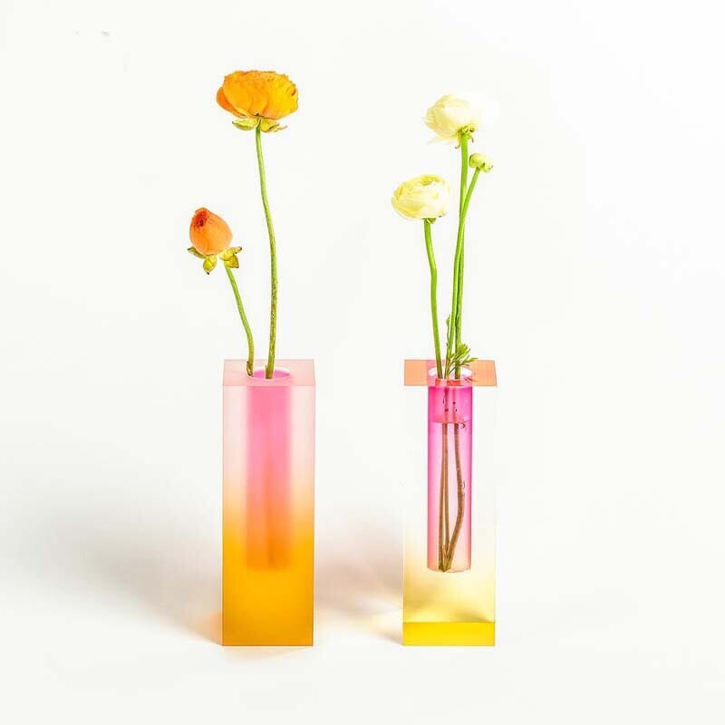 Vibrant Decorative Plant Pots Collection