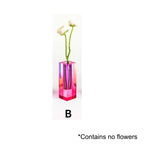Vibrant Decorative Plant Pots Collection