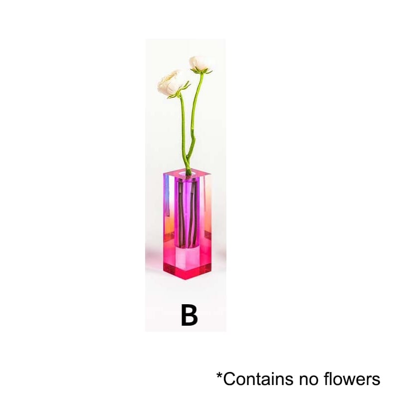 Vibrant Decorative Plant Pots Collection