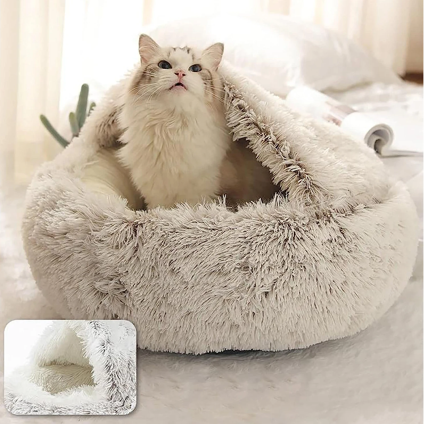 Calming Dog Beds for Restful Sleep