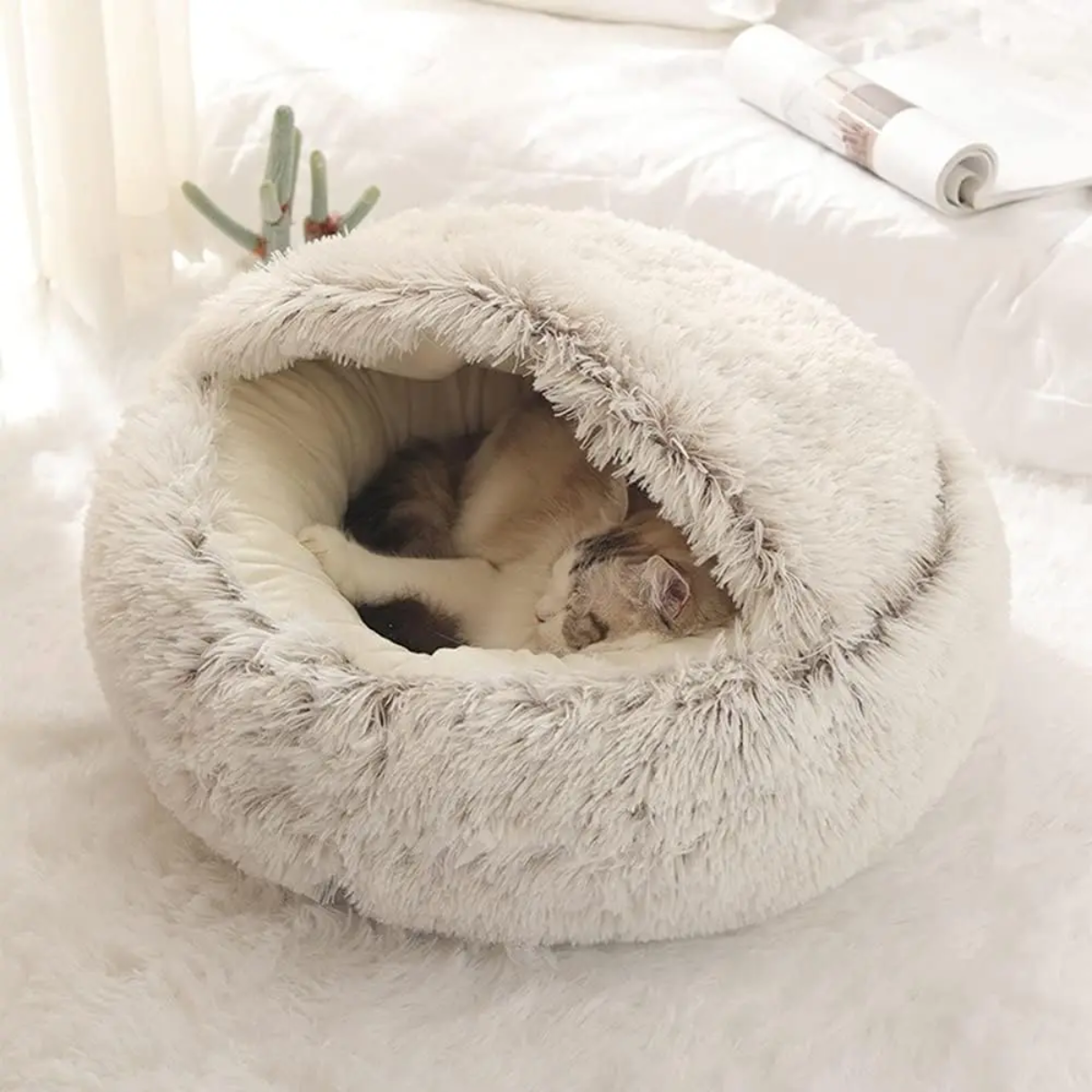 Calming Dog Beds for Restful Sleep