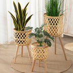 Elegant Plant Pots Display Stand