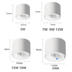 Directional Ceiling Spotlight Rotating Surface Mount Light