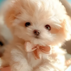 Interactive Plush Dog Toy Walking Barking - Image 9