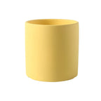 Colourful Decorative Plant Pots Collection