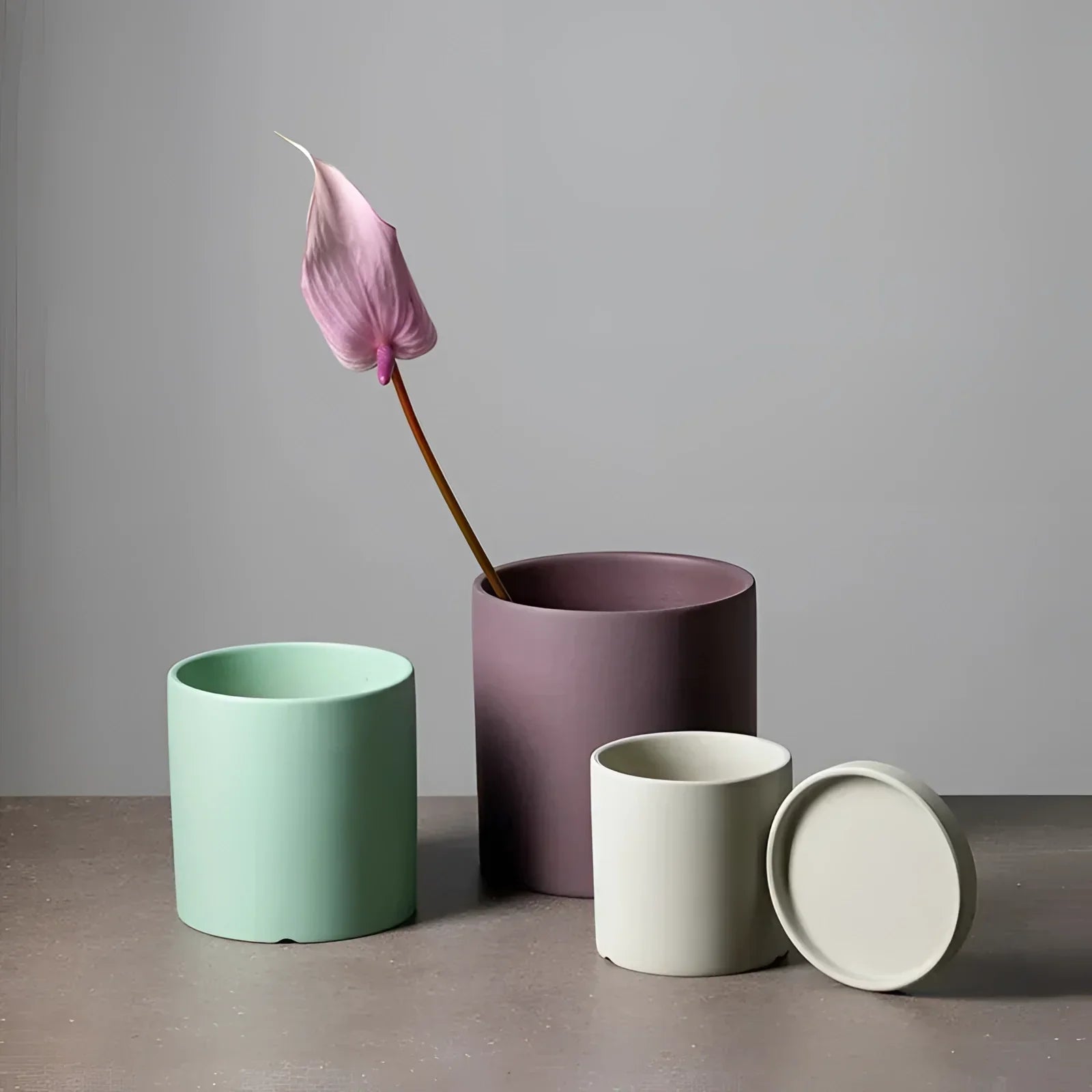 Colourful Decorative Plant Pots Collection
