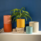 Colourful Decorative Plant Pots Collection
