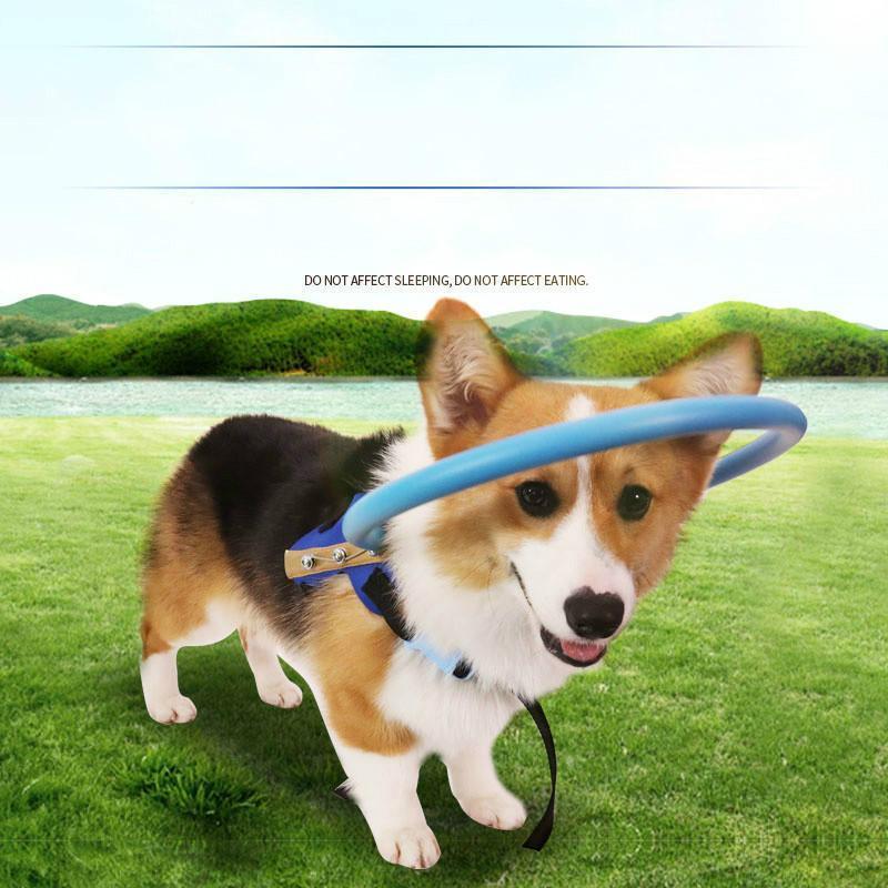Protective Guide Harness for Blind Dogs Mobility Support