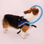 Protective Guide Harness for Blind Dogs Mobility Support