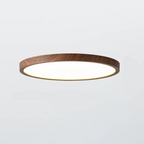 Modern Slim Round Ceiling Light Dimmable 3-Mode LED Fixture