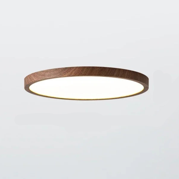 Modern Slim Round Ceiling Light Dimmable 3-Mode LED Fixture