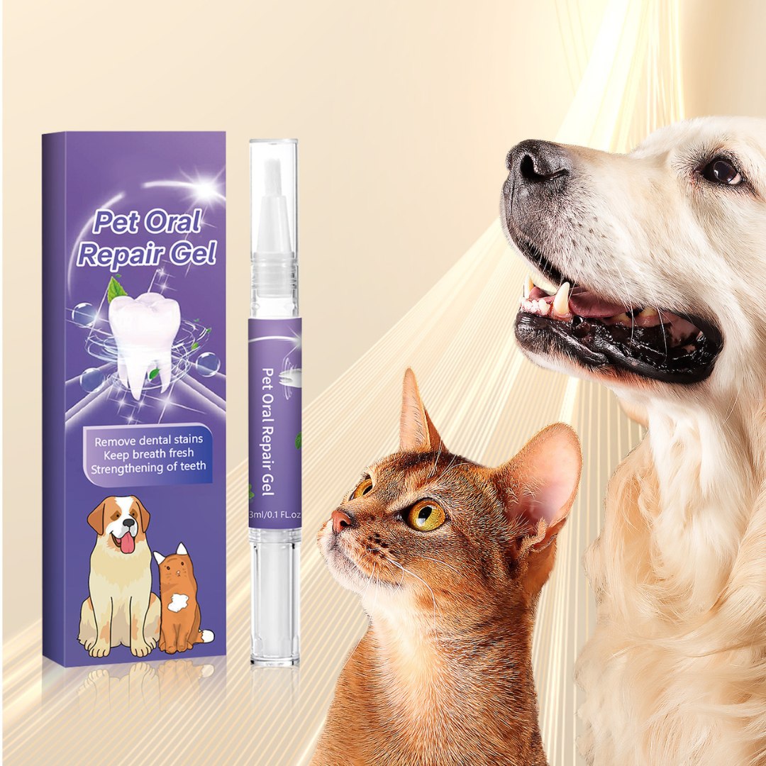 Easy-Use Pet Dental Pen for Cats & Dogs