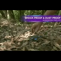 Outdoor Solar Power Bank Compact Fast-Charge Dual USB Device