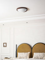Curved Edge Ceiling Lights for Modern Interiors