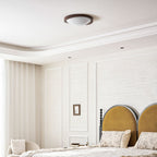 Curved Edge Ceiling Lights for Modern Interiors