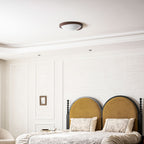 Curved Edge Ceiling Lights for Modern Interiors