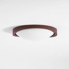 Curved Edge Ceiling Lights for Modern Interiors