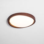 Curved Edge Ceiling Lights for Modern Interiors
