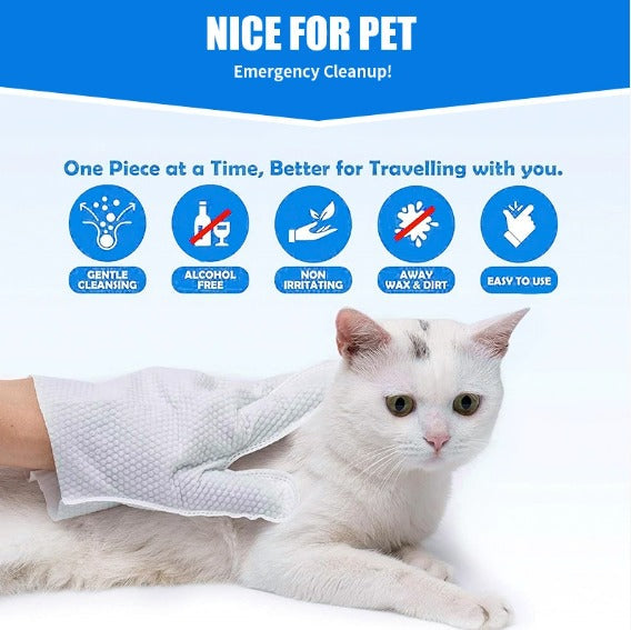 Gentle Pet Wipe Gloves for Daily Care