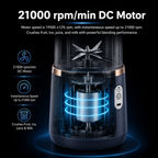 Portable USB Rechargeable Juicer Blender with 2 Cups