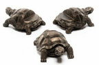 Decorative Animal Plant Pots Holders Set