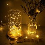 Bondilane — Bright Solar LED String Lights Outdoor Waterproof Garden Decor