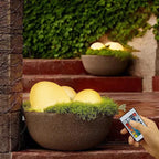 Bondilane — Decorative Solar LED Cobblestone Garden Light for Path and Landscape