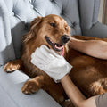 Bondilane — Gentle Pet Wipe Gloves for Daily Care