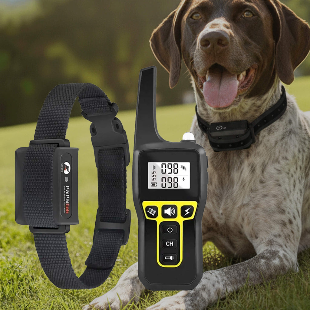 Bondilane — Rechargeable Dog Training Collar with Beep, Vibration & Static Modes