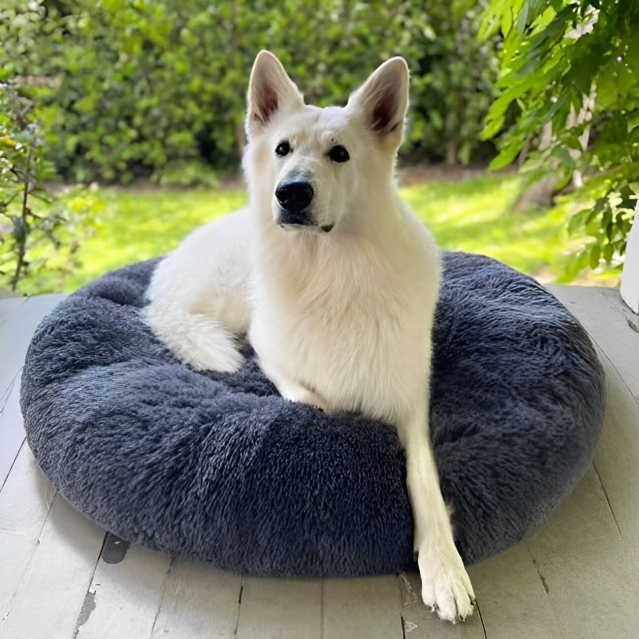 Calming Dog Beds with Orthopedic Support