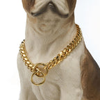 Dog Chain Collar Heavy-Duty Strong Link Design for All Breeds