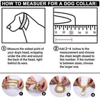 Dog Chain Collar Heavy-Duty Strong Link Design for All Breeds