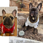 Dog Chain Collar Heavy-Duty Strong Link Design for All Breeds