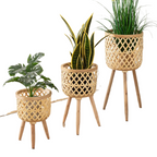 Elegant Plant Pots Display Stand