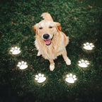 PawGlow™ - Image 3