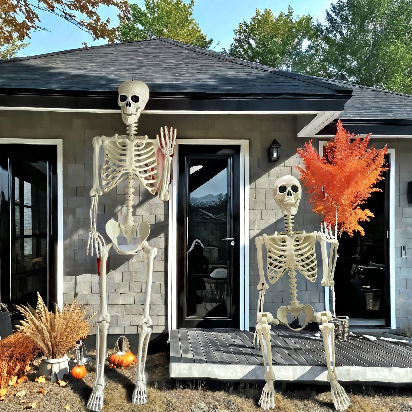 Giant 5.5 Ft Outdoor Skeleton Decoration Posable Spooky Display