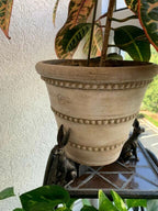 Decorative Animal Plant Pots Holders Set
